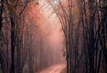 jiuyou官方网站：[英超]B费被罚下 曼联遭遇三连败.