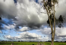 国人黄文杰逆袭夺冠,斩获传奇济州岛站主赛事冠.