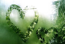 jiuyou官方网站：[中超]李智中场送出长传 安永佳以一敌三建功.